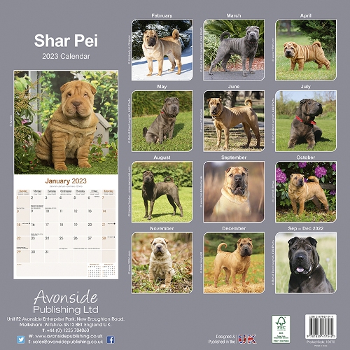 Shar Pei Calendar 2023 (Square) | Dogs Naturally